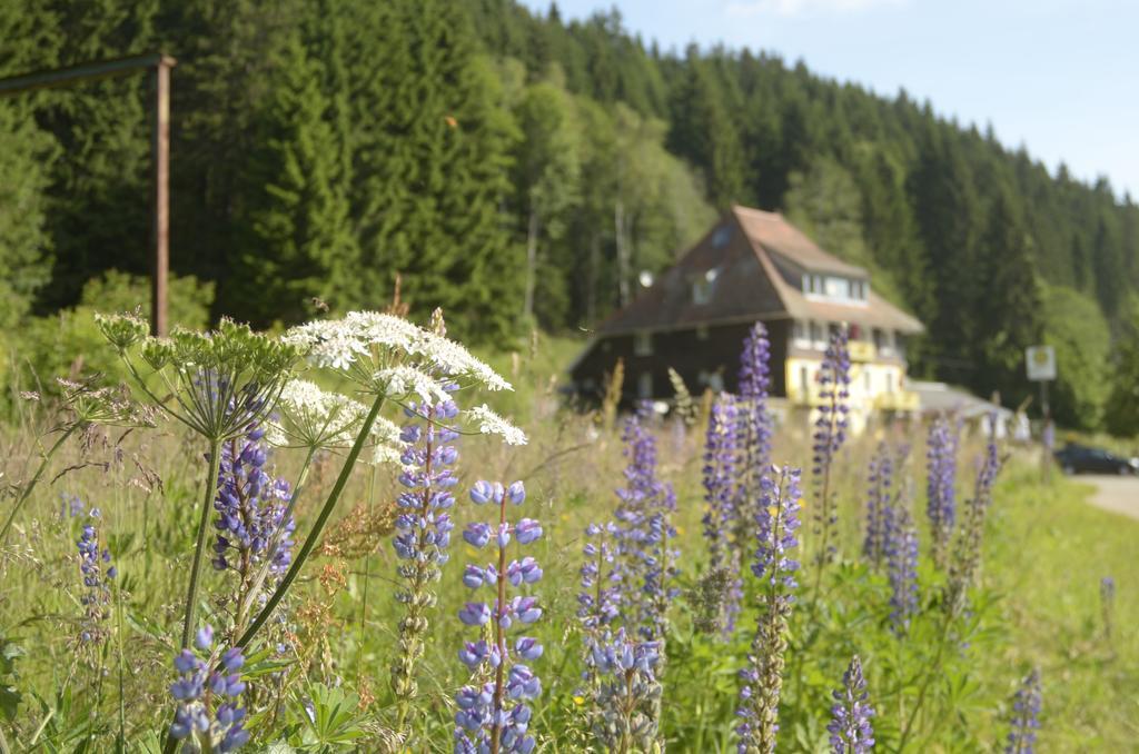 Gasthaus Hotel Loeffelschmiede 费尔德伯格 外观 照片