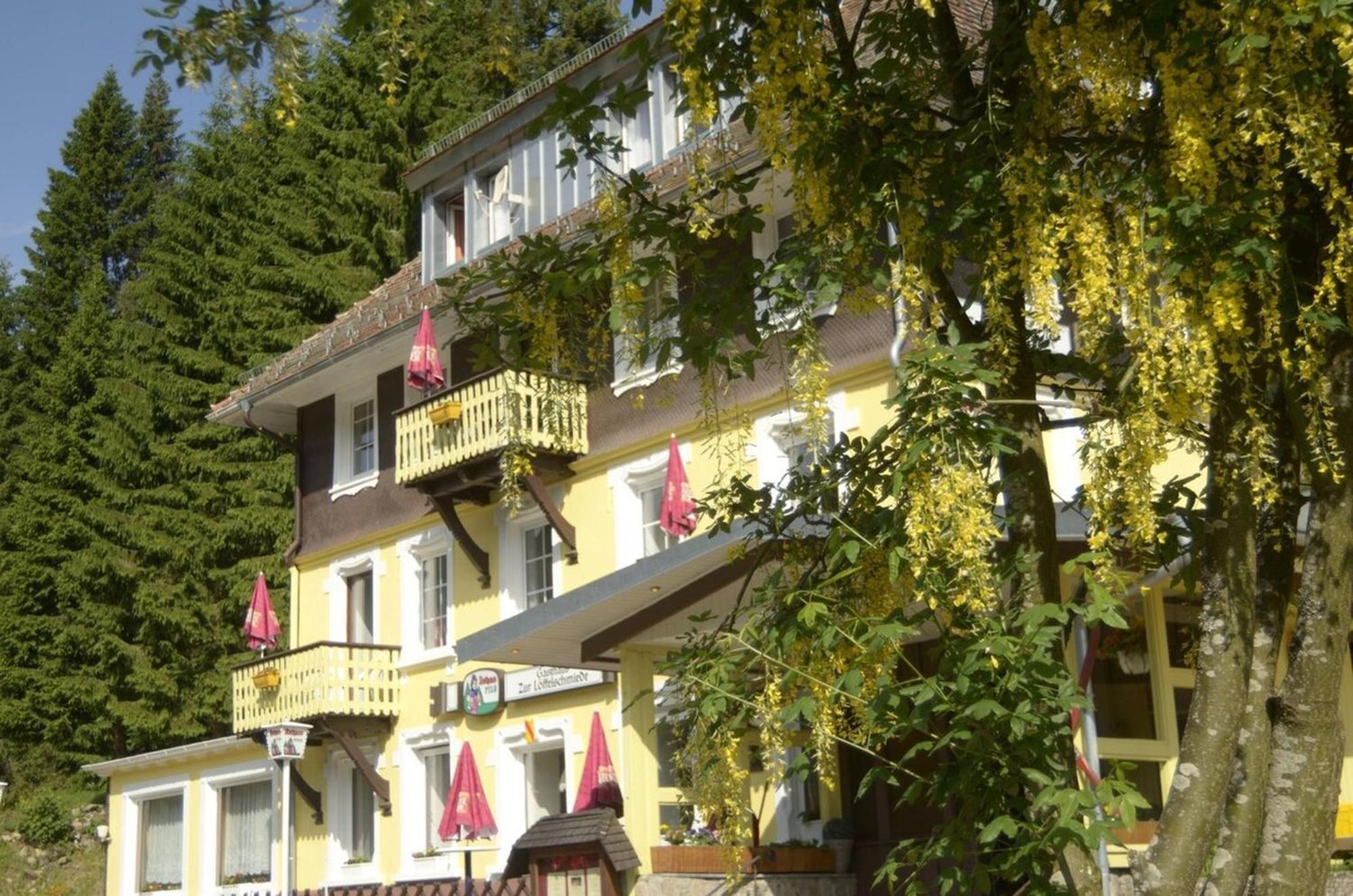 Gasthaus Hotel Loeffelschmiede 费尔德伯格 外观 照片